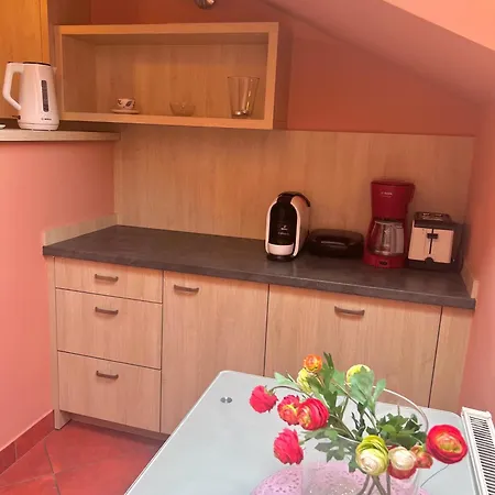 Apartment Centrum Z Aneksem Kuchennym & Lazienka *
