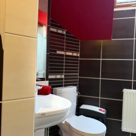 Centrum Z Aneksem Kuchennym & Lazienka Apartment Zywiec