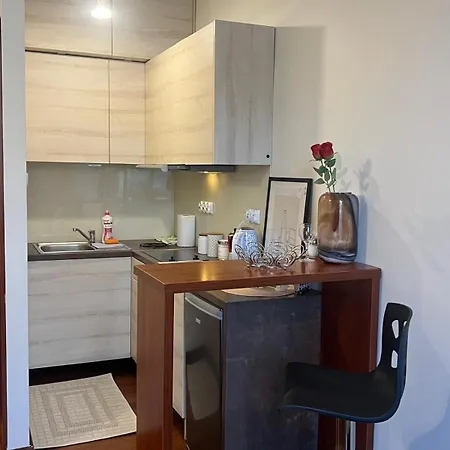 Centrum Z Aneksem Kuchennym & Lazienka Apartment